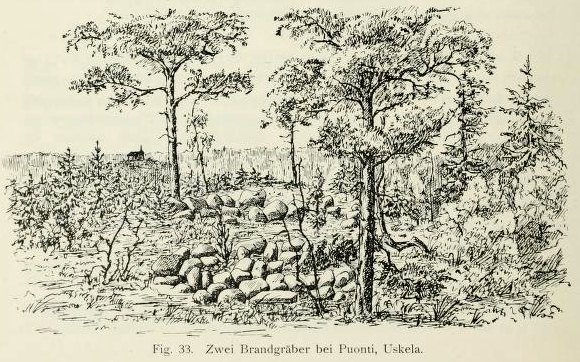 Click for full size image of Puonti (PID:101318) Puonti