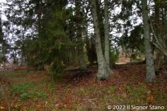 Knösbackarna - PID:251002 Knösbackarna - PID:251002