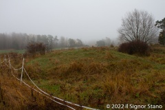 Knösgärdan