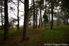 Kvarnbacken