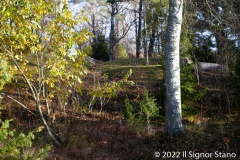 Johannisberg (Kvarnbo) - PID:250998 Johannisberg (Kvarnbo) - PID:250998