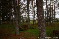 Kvarnbacken