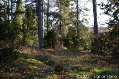 Johannisberg (Kvarnbo) - PID:250999 Johannisberg (Kvarnbo) - PID:250999