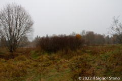 Knösgärdan