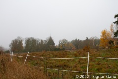 Knösgärdan