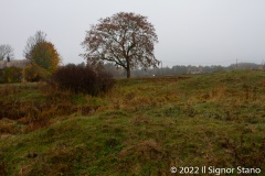 Knösgärdan