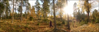Borgboda Hillfort