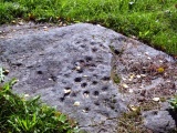 Rapola - PID:16844