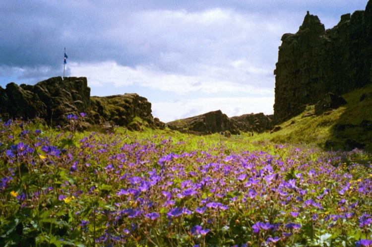 Site in  Iceland

By way of contrast to Drew's photo from April 2010, this picture is of the same location, but looking at the Rock and flag from the other direction.  This was taken in July 2002, when Iceland was really in bloom with wild flowers.  

The Icelanders have a very keen pride in having had their democratic 'parliament' since such an early period.