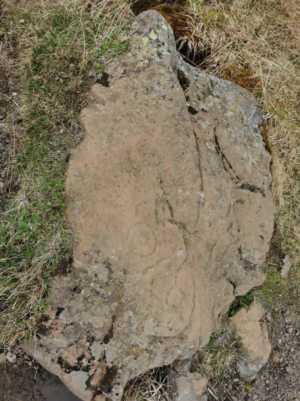 Fólkvangur Neskaupstaður