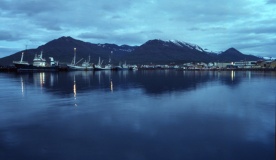 Dalvik