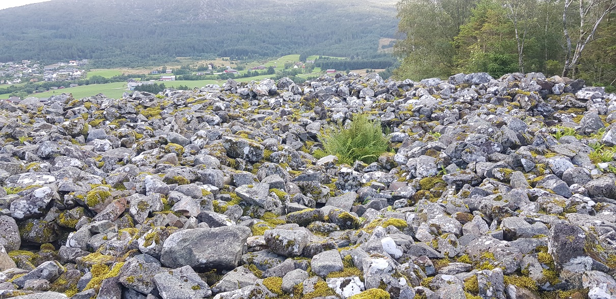 Click for full size image of Rimsvarden (PID:218790) Rimsvarden