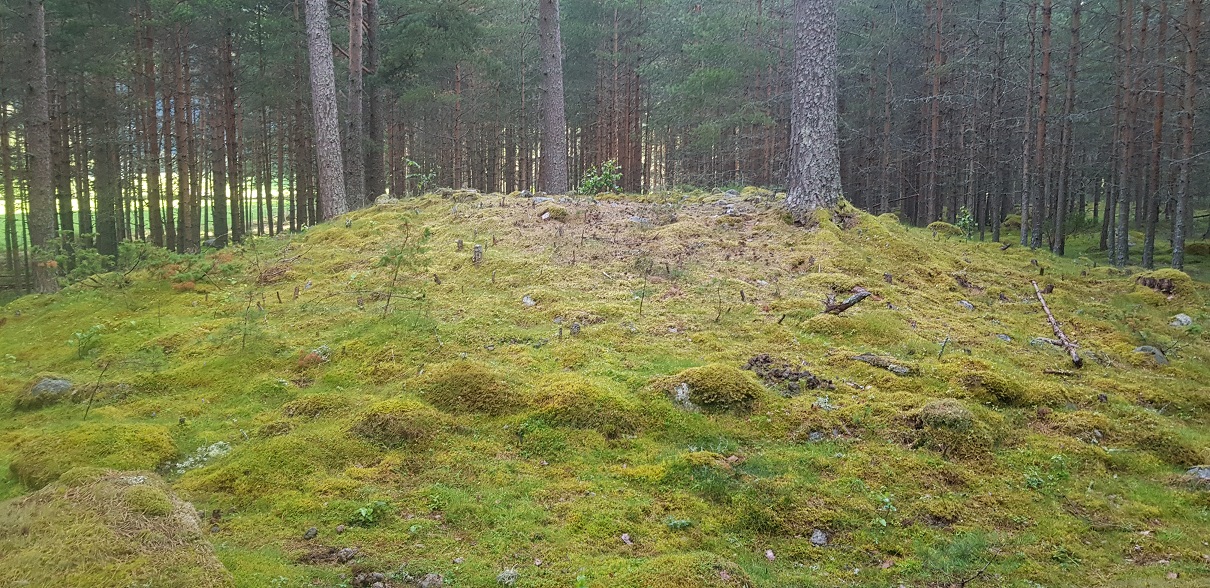 Click for full size image of Hæreidsmoen (PID:216954) Hæreidsmoen