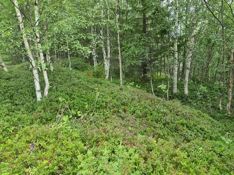 Gullset Hillfort