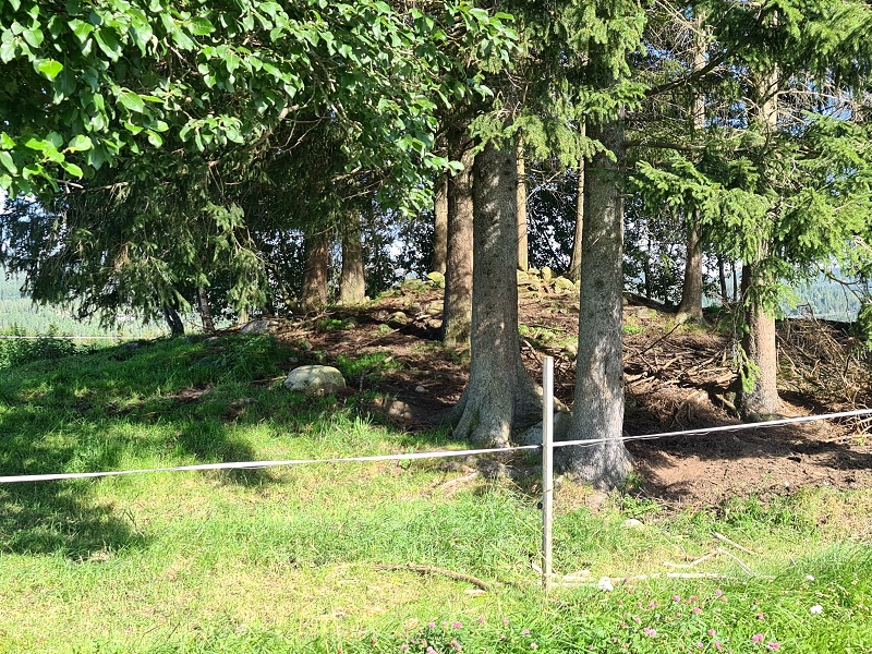 Ryggvoll-Moholt
