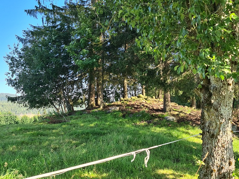 Ryggvoll-Moholt