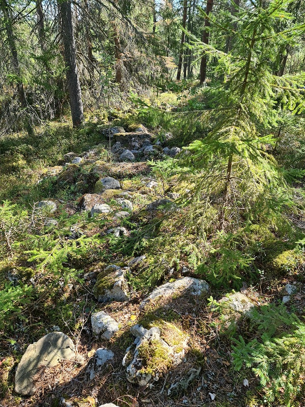 Vardåsen, Akershus | Megalithic Portal