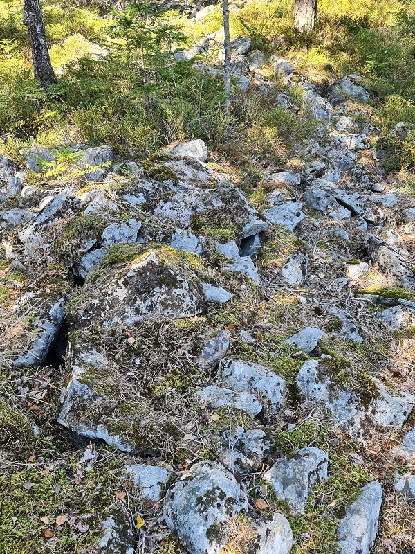 Vardåsen, Akershus | Megalithic Portal