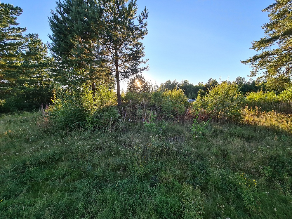 Kjosholtet