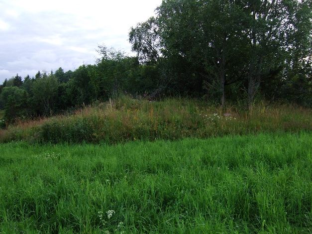 Kvitvang barrow cemetery