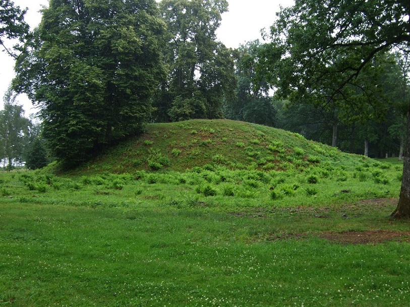 Borrehaugene