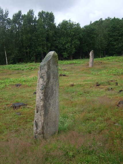 Visterflo Standing Stone Row