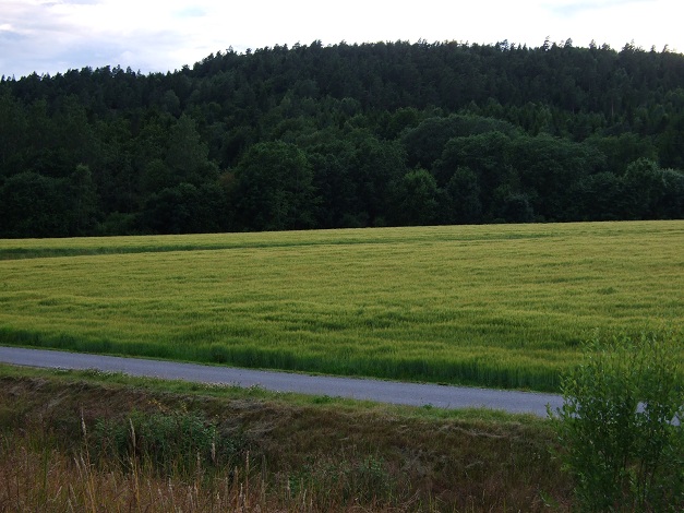 Steinsjordene sacrificial marsh