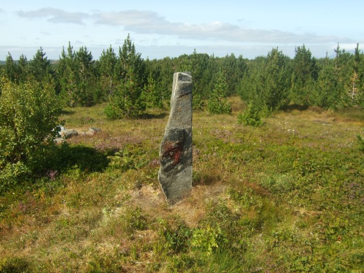 Click for the gallery page to add comments and vote (PID:52667) Nonshaugen Standing Stone