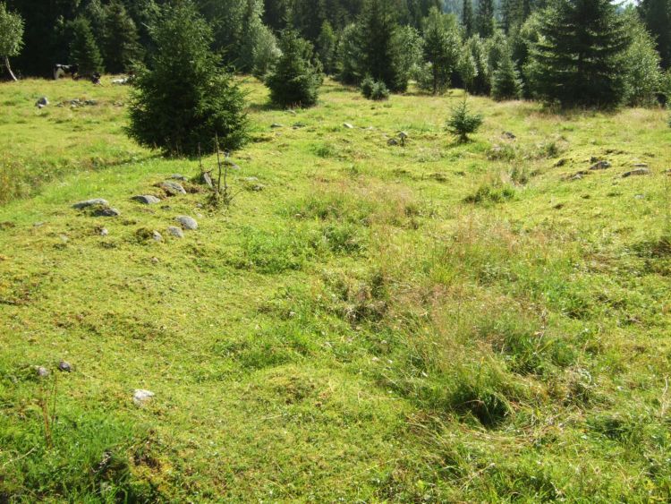 Skjepphaugen Settlement