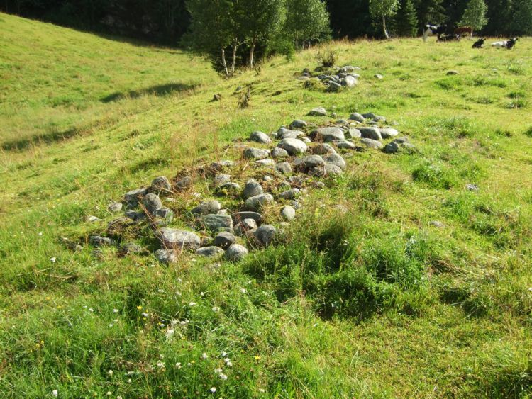 Skjepphaugen Settlement