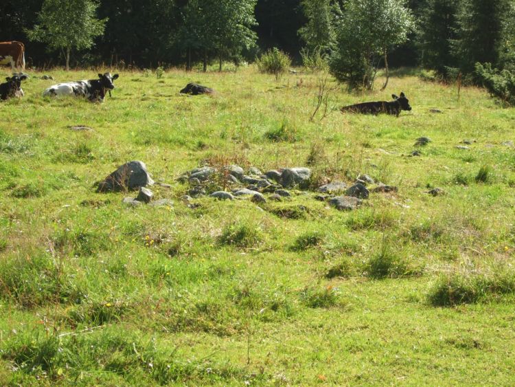 Skjepphaugen Settlement