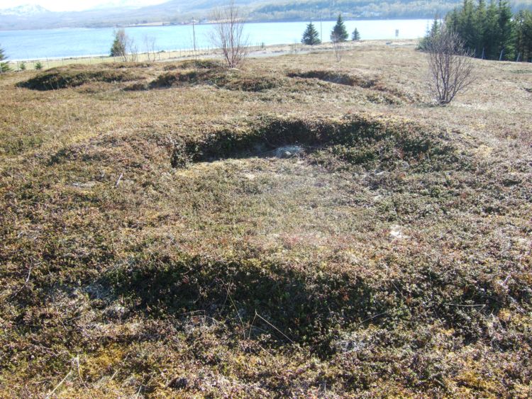 Håkøya (PID:35858) Håkøya