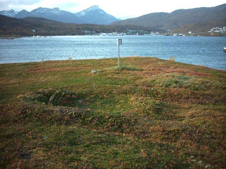 Håkøya