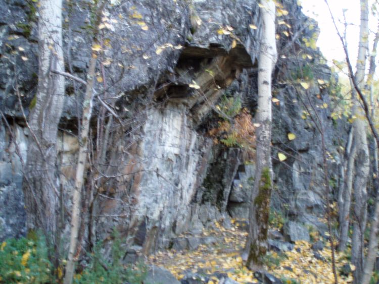 The rock outcrop that makes the hollow. it was really hard to find the site in the tight forest.