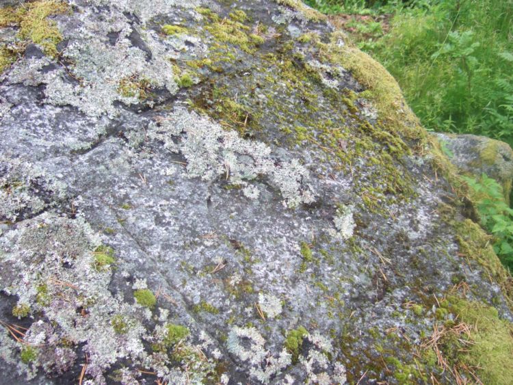 Ulvsvåg sacrificial stone