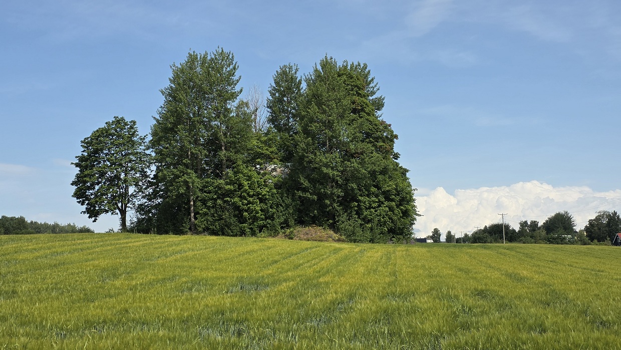 Kapphøgda-Alfstad