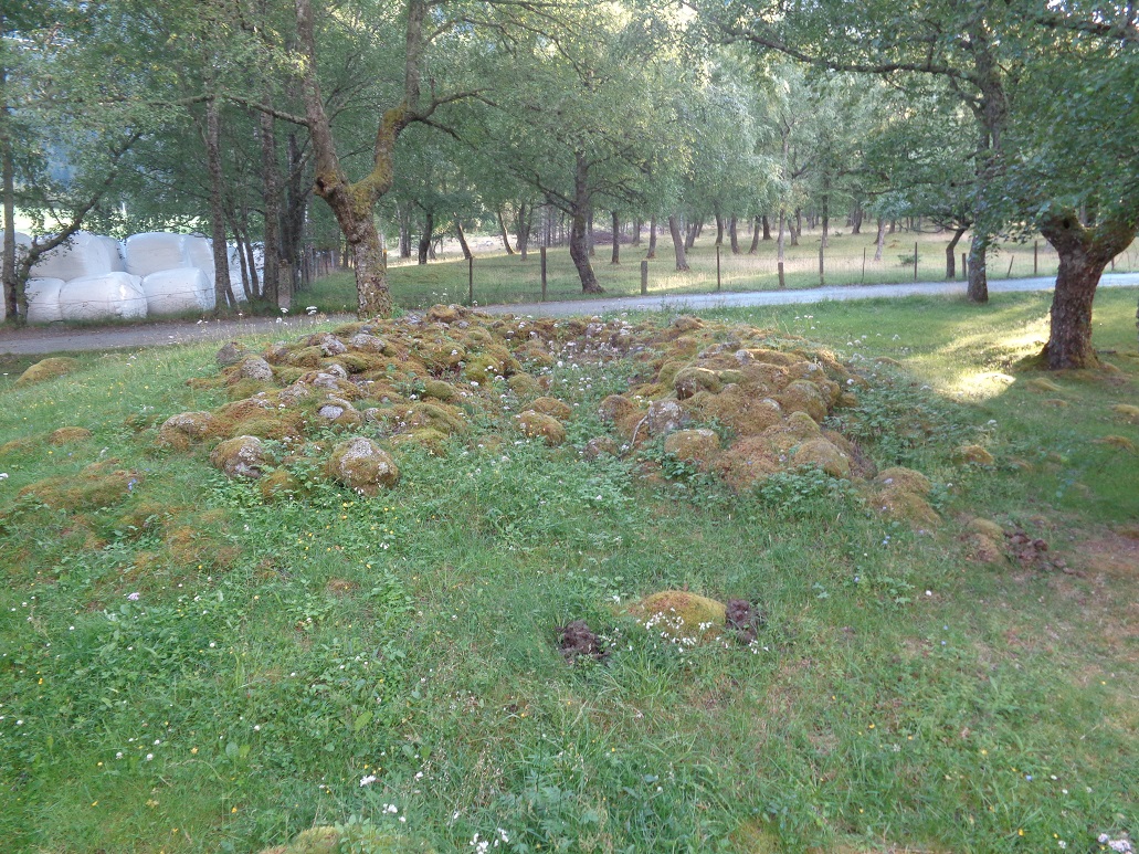 Hæreidsmoen