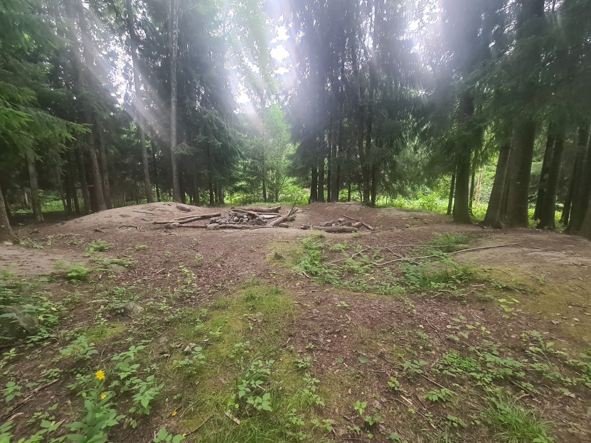 Gunnarsbingeskogen