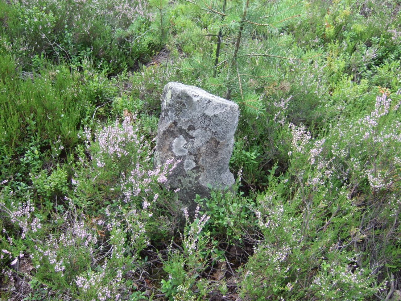 Skeisteinen Runestone