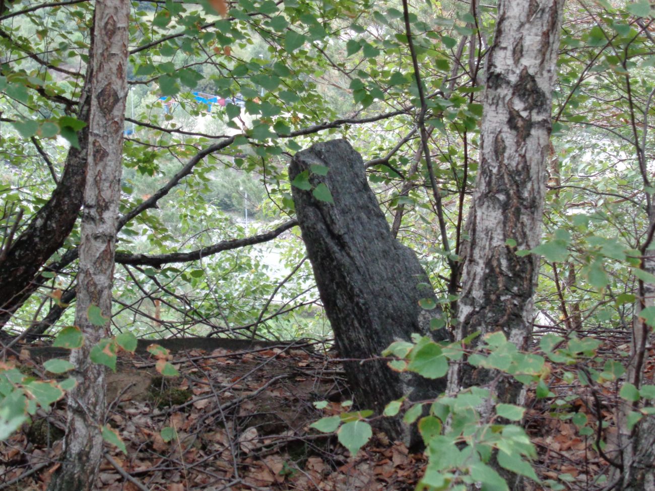 The standing stone a little outside the site, behind is the edge of the cliff.
