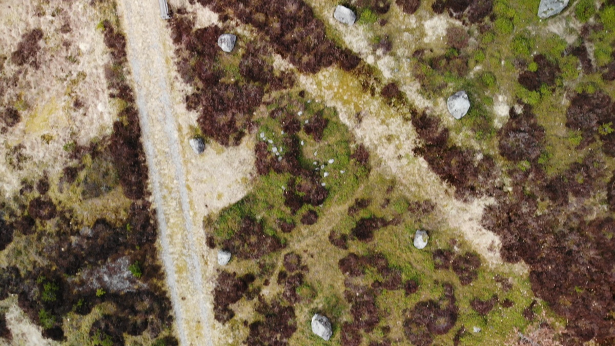 Click for full size image of Tingvatn Stone Circles (PID:209861) Tingvatn Stone Circles