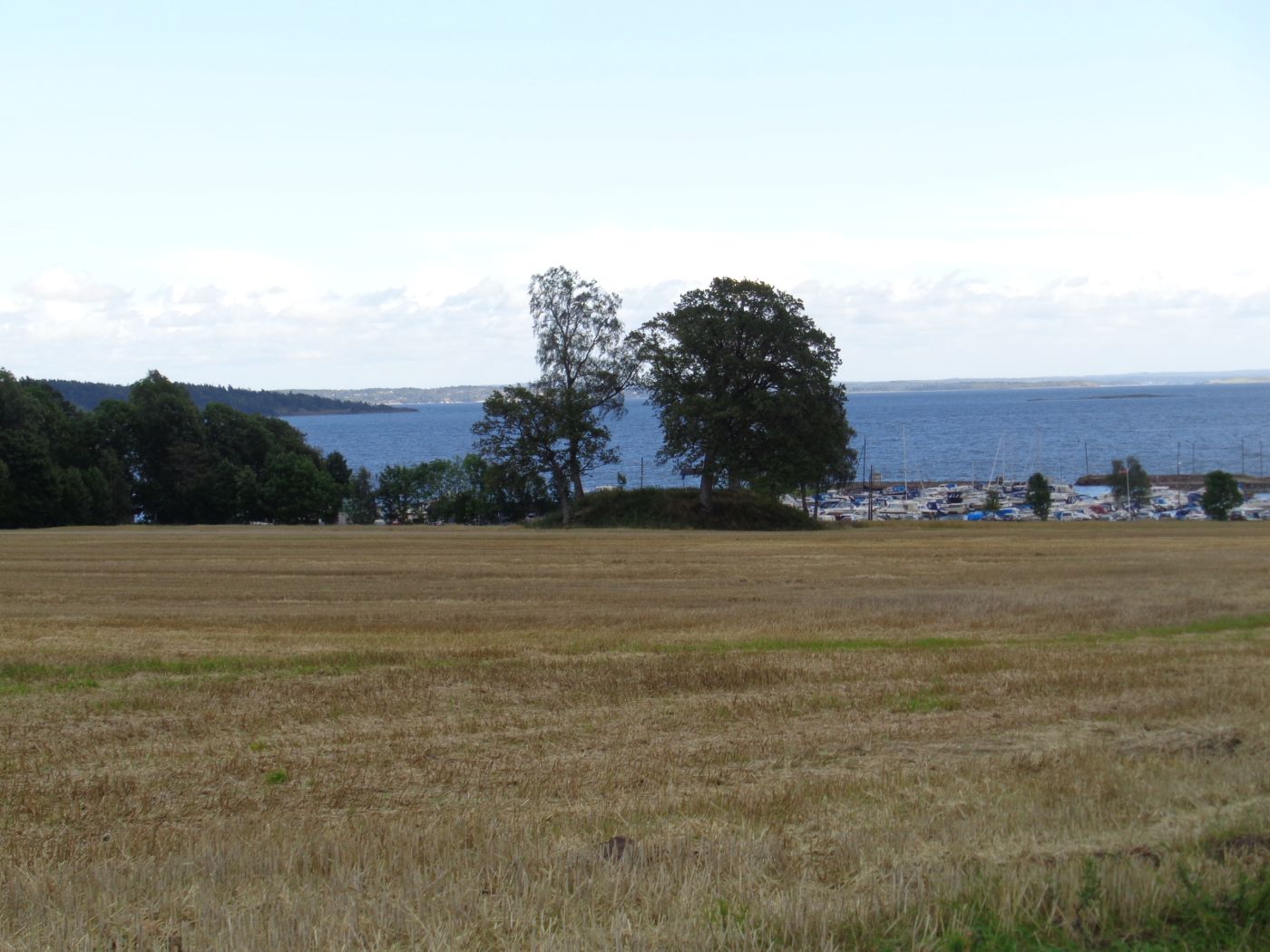 Spellemannshaugen
