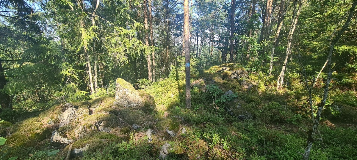 Signalåsen