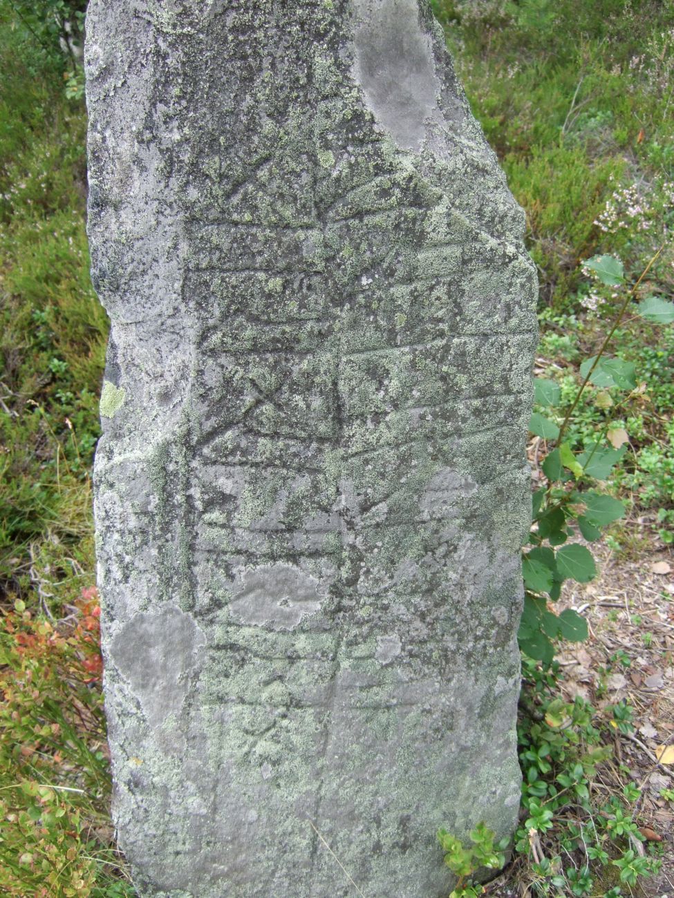 Skeisteinen Runestone