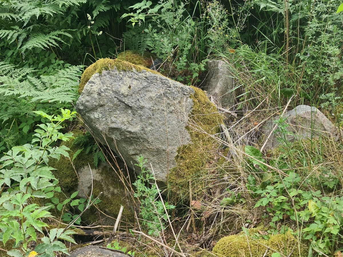 Ek-Skauen