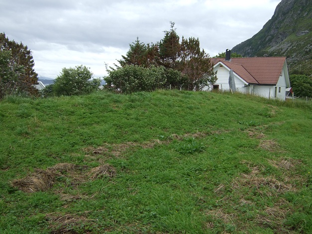 Alnestrøya standing stone