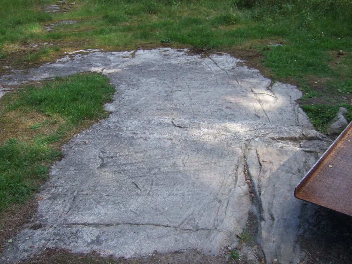 Ekeberg Bronze Age Carvings