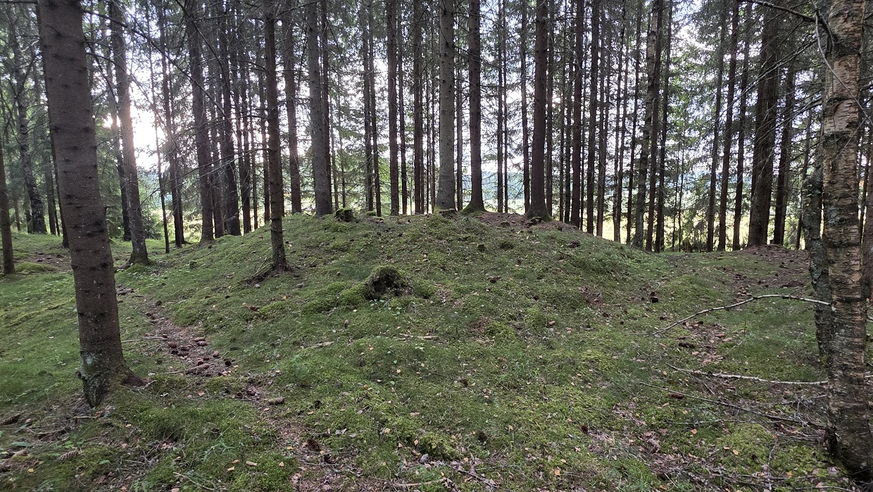 Duåsen