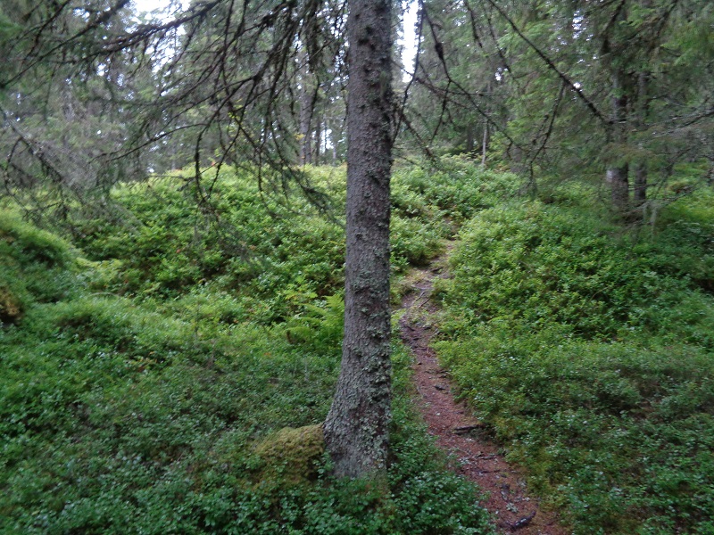 Site in Nord-Trøndelag Norway

