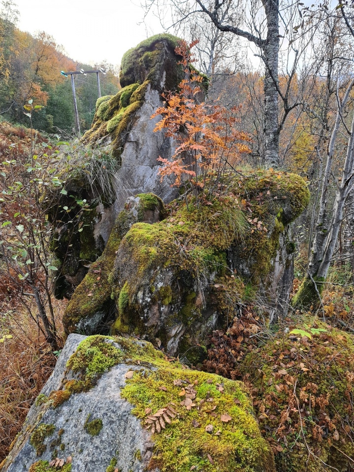 Andasteinen (PID:265062) Andasteinen